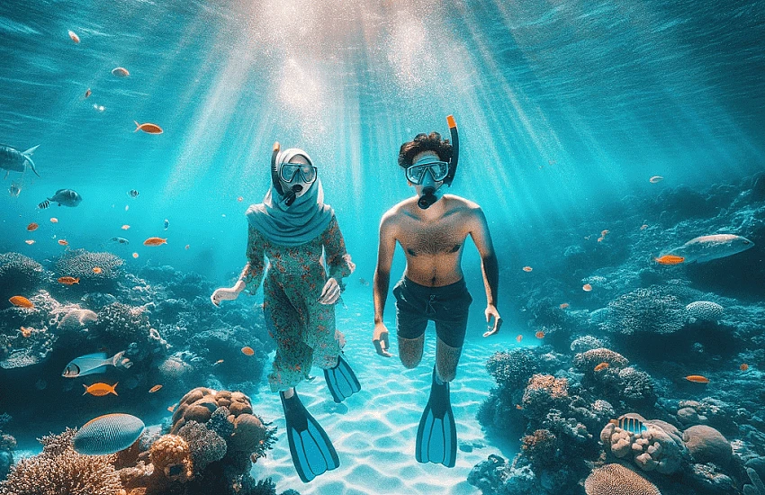 Snorkeling in Abu Dhabi