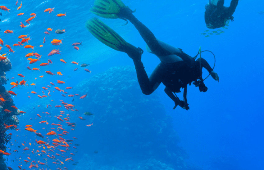 Scuba Diving in Abu Dhabi