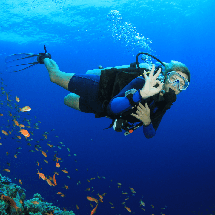 beginners-scuba-diving-courses-abu-dhabi